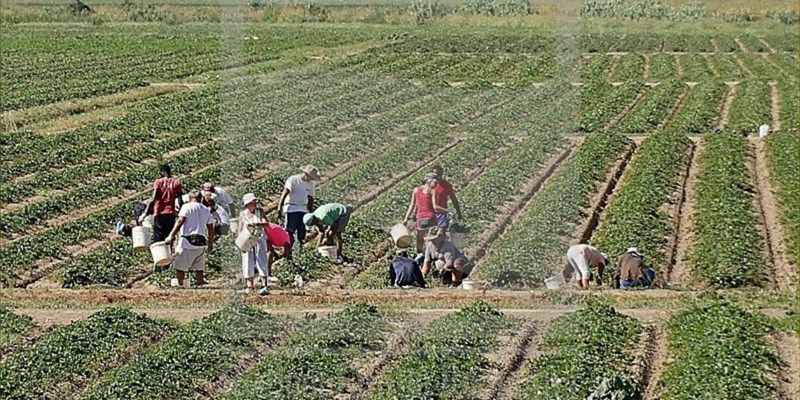 Regolarizzare per dignità e interesse nazionale