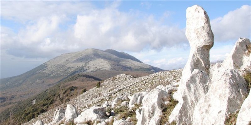 Il Santuario di campagna di San Donato a Monteforte Cilento