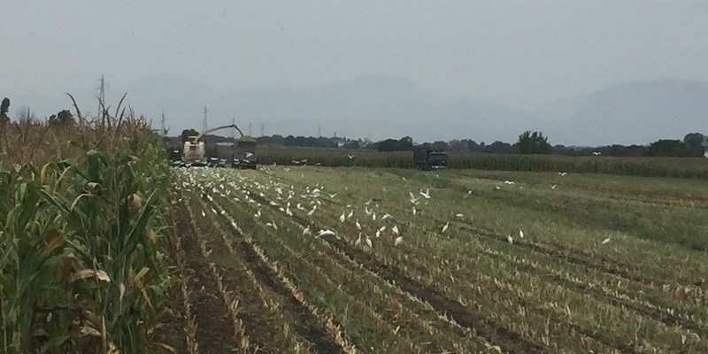 L’agricoltura opportunità di riscatto per i giovani