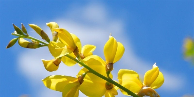 Michele, una persona semplice che ci ha lasciato