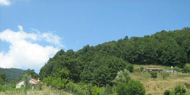 Pruno, quelle tradizioni che vengono dal passato. Articolo dello 01/12/2002