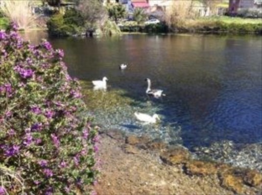 Capodifiume: la via sacra fluviale dalla foce alla sorgente, costeggiando le mura ciclopiche di Paestum