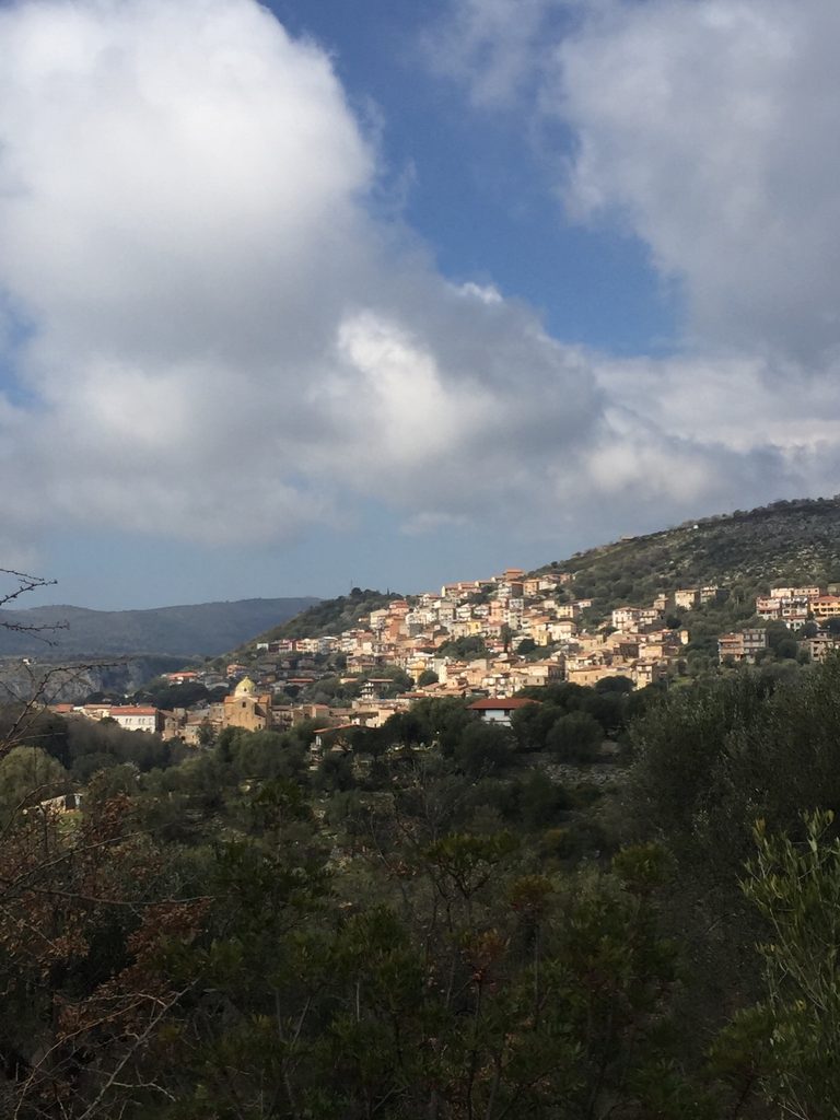 Stesso Parco diversi i destini!