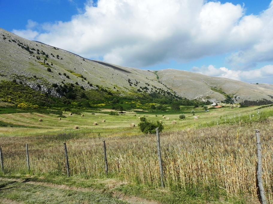 Quanto Parco c’è in ogni Comune?
