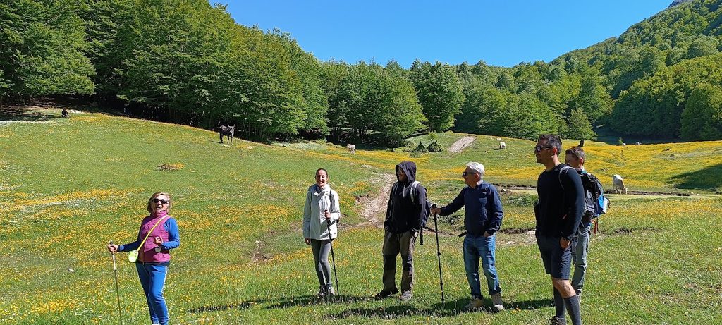 Il Sud non è una rana. Ma chi lo governa deve rendere conto delle occasioni perdute